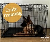 indoor crate training