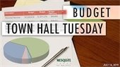 town hall budget