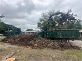 Crews cleaning up storm debris