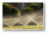 sprinklers