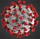 coronavirus updates