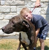 boy hugs dog adopted from mesquite animal shelter