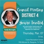 District 4 Council meeting