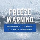 Freeze Warning: Reminder to bring all pets indoors