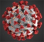 coronavirus 