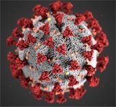 coronavirus disaster declaration extended