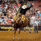 man riding a horse at the Mesquite Rodeo