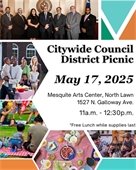 council picnic graphic