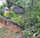 storm response clean up
