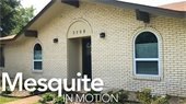 Mesquite in motion