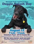 doggie splash day