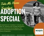 Take Me Home Tuesdays adoption special