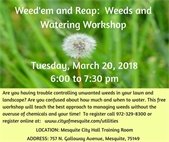weeds workshop