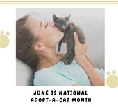 june is adopt a cat month