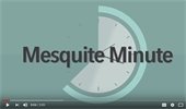 Mesquite Minute
