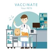 Male veterinarian vaccinating pet (illustration)
