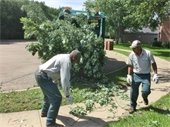 men cleaning up brush