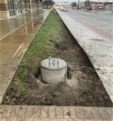 Gust Thommasson to Karla Moon February 2020