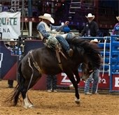 mesquite rodeo cowboy on horse