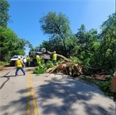 storm response clean up