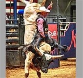 Mesquite Championship Rodeo bullrider