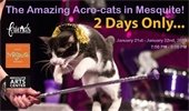 The Amazing Acro-Cats in Mesquite Jan. 21 and 22