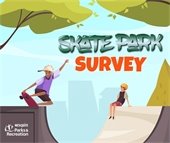 skate park survey picture