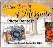 Native Beauty of Mesquite Photo Contest