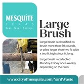 Large brush graphic