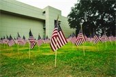 american flags at freedom park