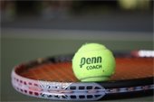 tennis ball laying on top of a tennis racket