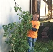 kids carries branches while volunteering for Addressing Mesquite Day