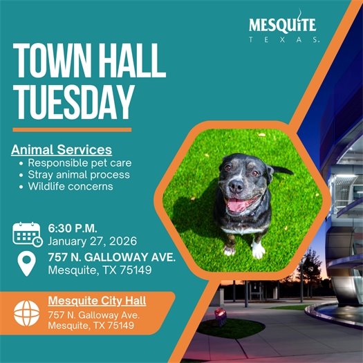 Town Hall Tuesday graphic